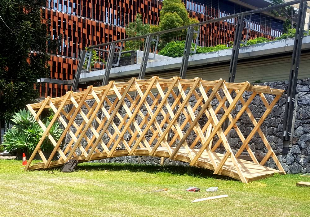 Double-curved timber bridge project