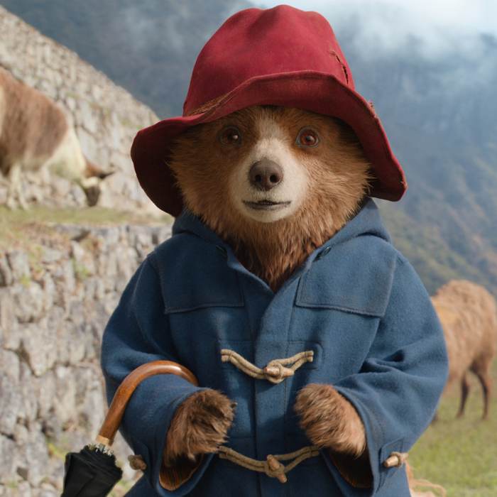 Paddington in Peru — set design work